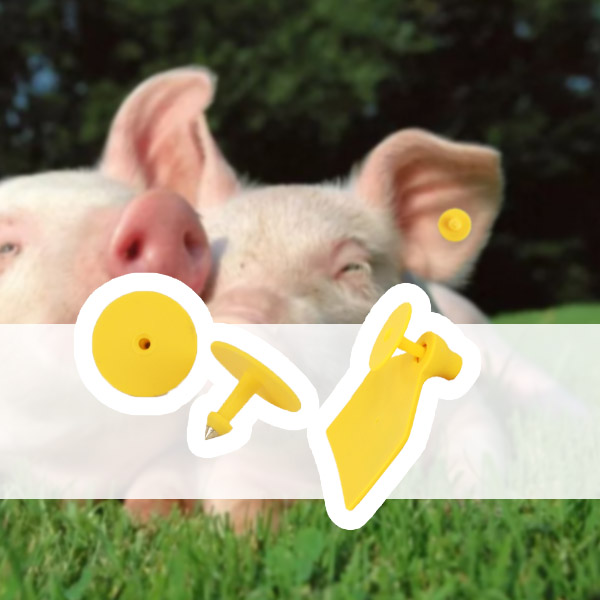 RFID CÓ THỂ NHẬN DẠNG ĐƯỢC NHỮNG GÌ? NHAN-DANG-8