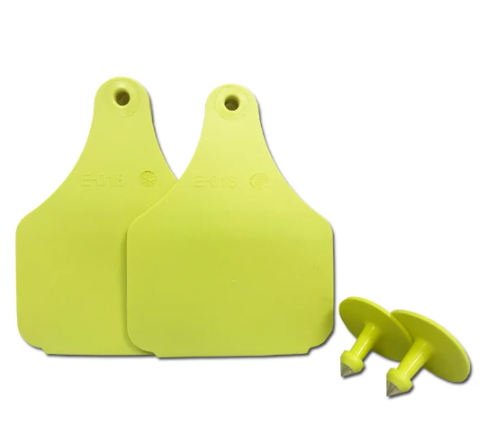 TAG RFID: CÁCH THỨC HOẠT ĐỘNG VÀ ỨNG DỤNG tag