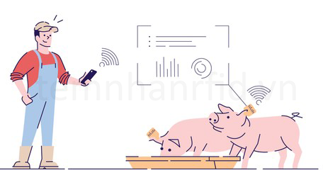 TEM RFID TRONG QUẢN LÝ CÂY TRỒNG, VẬT NUÔI – TỔNG QUAN Lưu bản nháp tự động