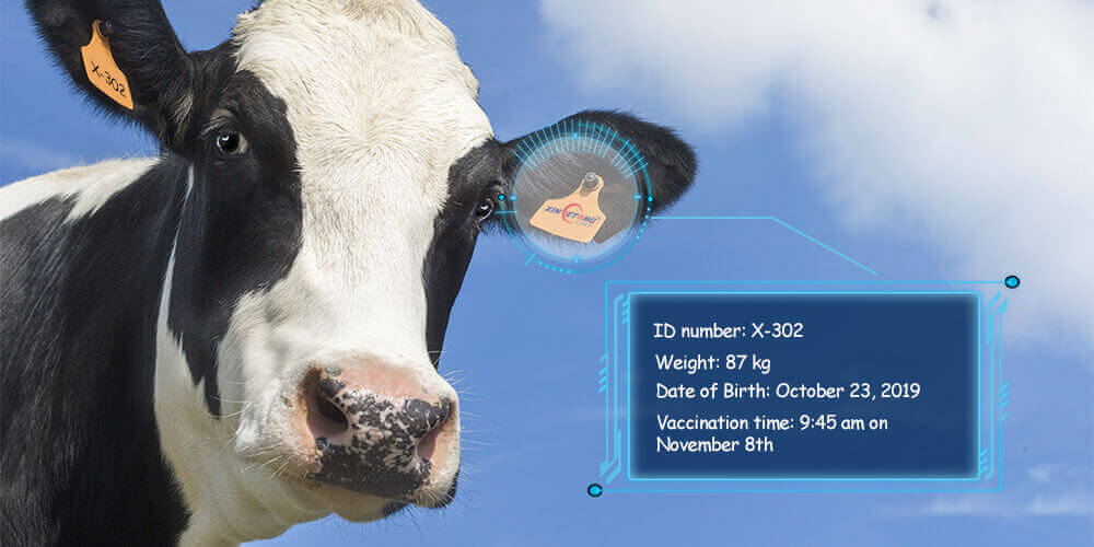 RFID TRUY CẬP NGUỒN GỐC THỰC PHẨM NHƯ THẾ NÀO? rfid-thuc-pham-ba