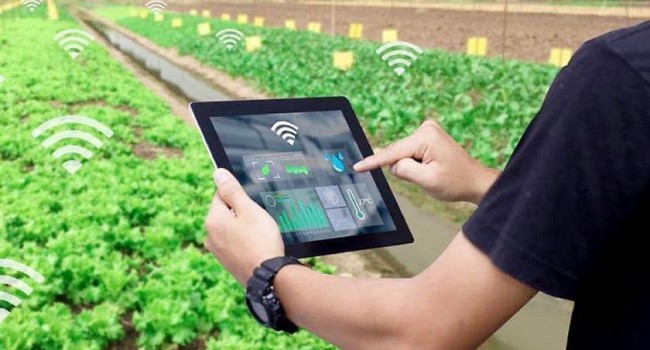 ỨNG DỤNG CÔNG NGHỆ RFID VÀO QUÁ TRÌNH TỰ ĐỘNG HÓA rfid-nong-nghiep